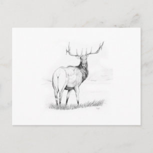 Carte Postale Indécision