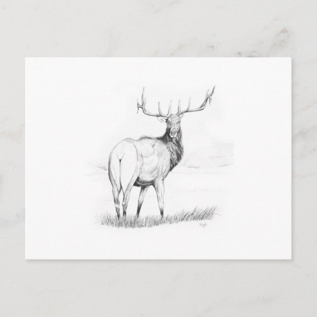 Carte Postale Indécision (Devant)