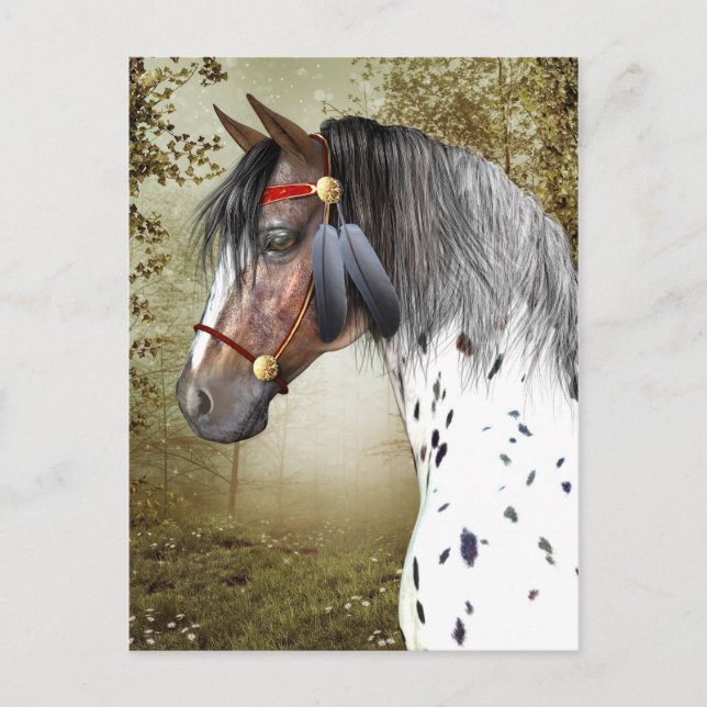 Carte postale Indian Pony (Devant)