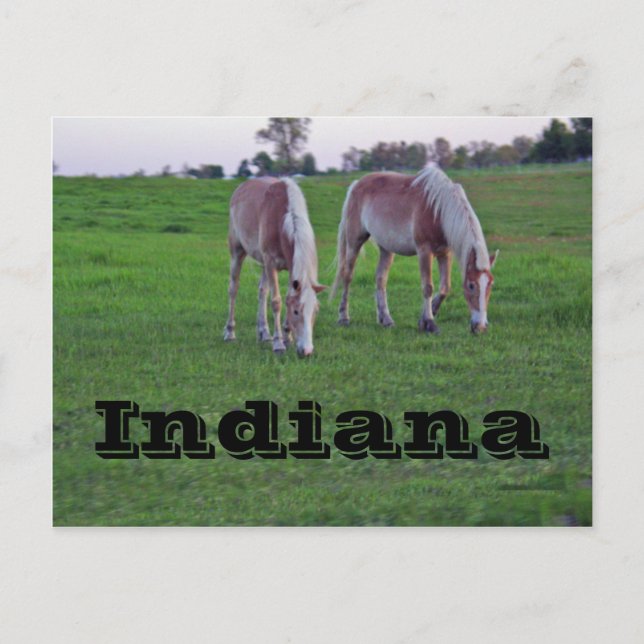 Carte Postale Indiana (Devant)