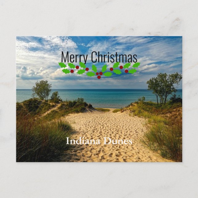 Carte Postale Indiana Dunes, lac Michigan,  (Devant)
