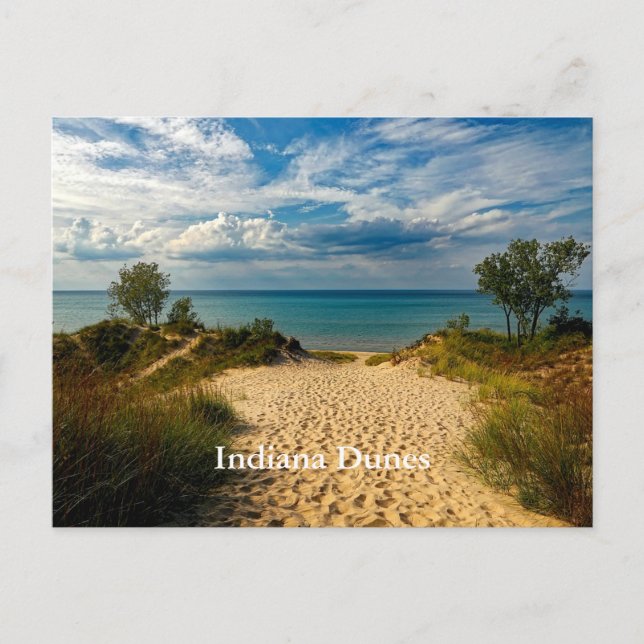 Carte Postale Indiana Dunes, lac Michigan, étiqueté (Devant)