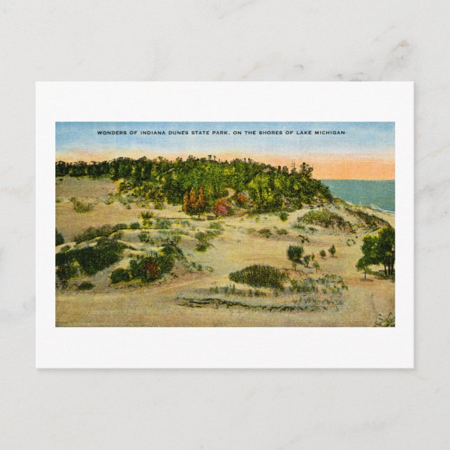 Carte Postale Indiana Dunes State Park Lake Michigan, Indiana (Devant)