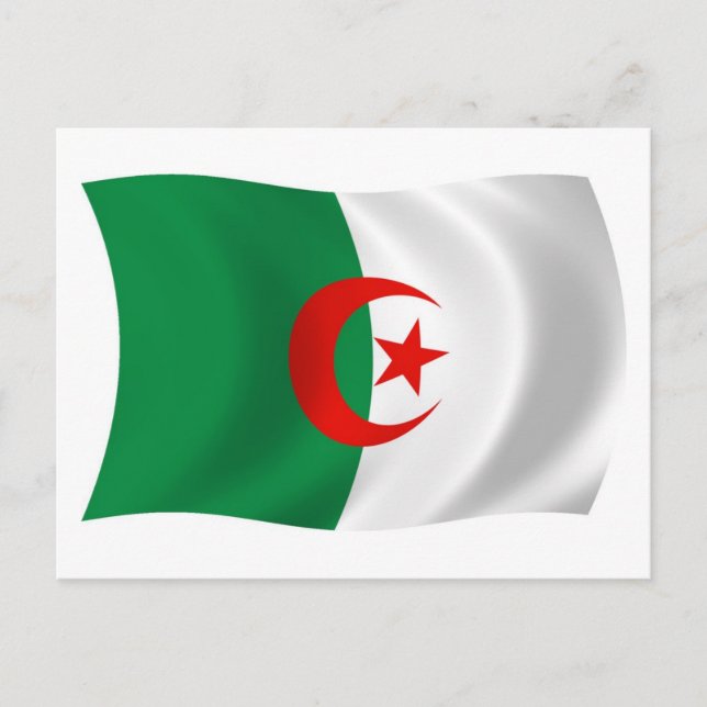 Carte postale Indicateur Algérie (Devant)