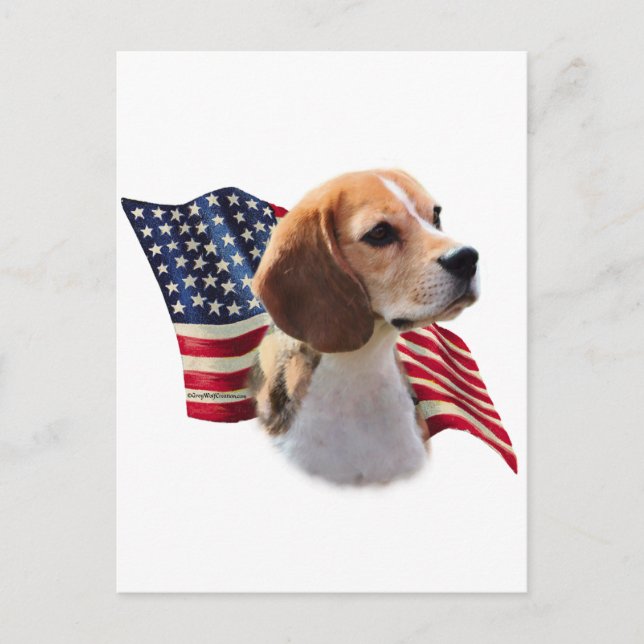 Carte Postale Indicateur beagle (Devant)