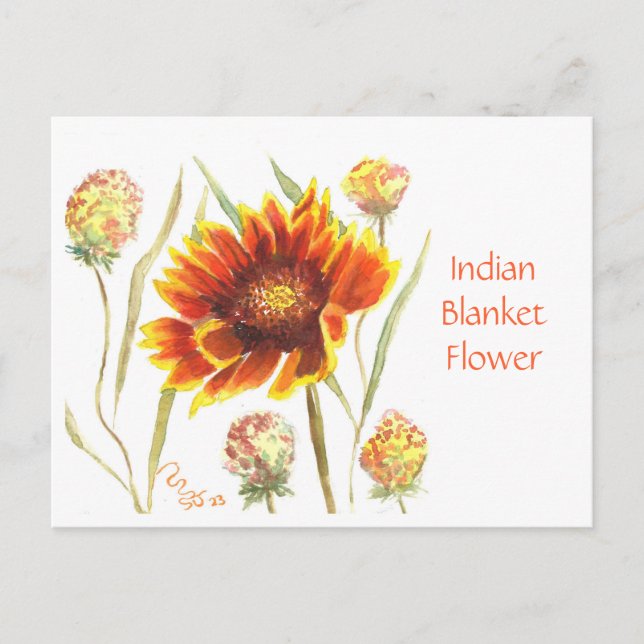 Carte postale indienne Blanche (Devant)