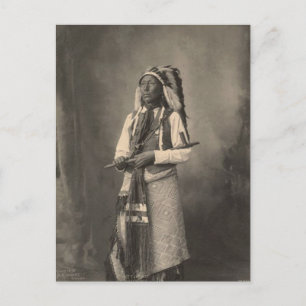 Carte Postale Indienne vintage : Petit Chef, Arapahoe -