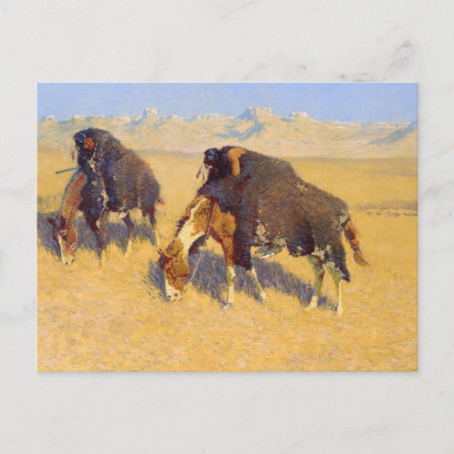 Carte Postale Indiens simulant le buffle (Devant)