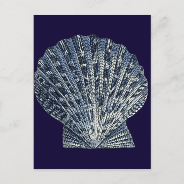 Carte Postale Indigo Shells VIII (Devant)