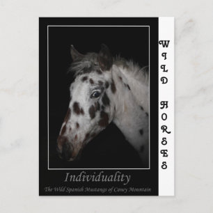 Carte Postale "Individualité" - Mustangs espagnols sauvages