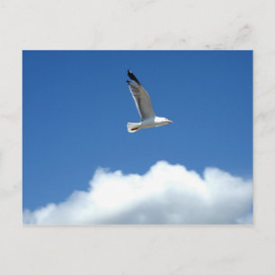 Carte postale individuelle