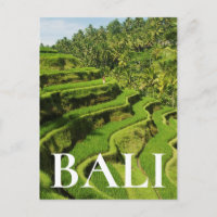 Indonésie, Bali| Rizières