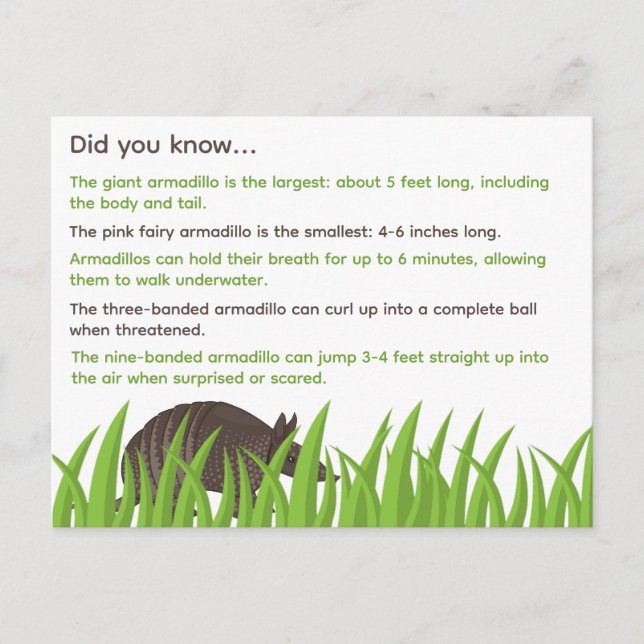 Carte Postale Informations amusantes sur Armadillos (Devant)