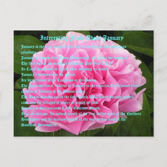 Carte Postale Informations intéressantes sur Janvier (Devant)