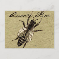 Insecte de la faune de l'abeille Queen