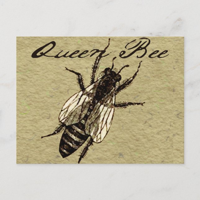 Carte Postale Insecte de la faune de l'abeille Queen (Devant)