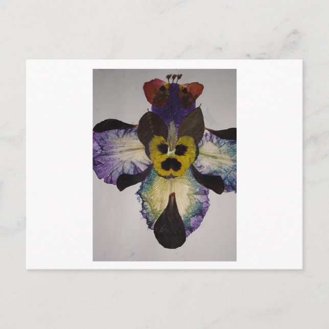 Carte Postale Insecte humaine (Devant)