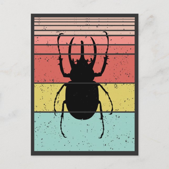 CARTE POSTALE INSECTE VINTAGE DE BEETLE (Devant)
