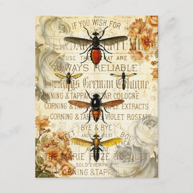 Carte Postale Insectes d'abeilles vintages (Devant)