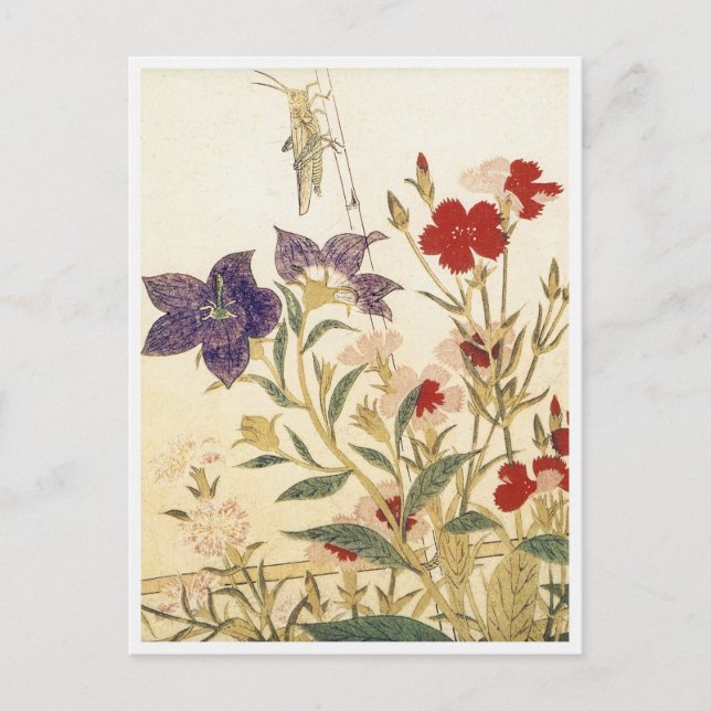 Carte Postale Insectes et fleurs d'Utamaro (Devant)