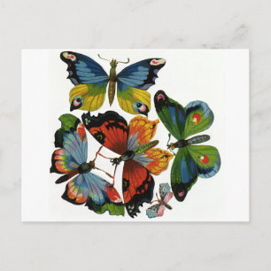 Carte Postale Insectes vintages ou des insectes, Belles papillon