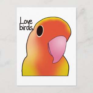 Carte Postale Inséparables