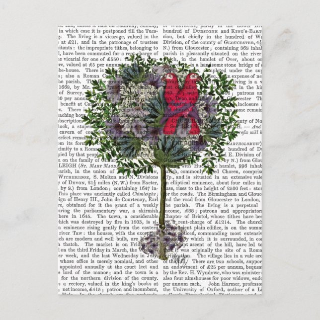 Carte Postale Inséparables dans un arbre (Devant)