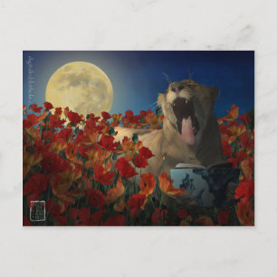 Carte Postale Insomnie