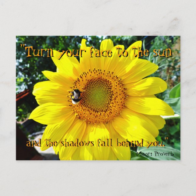 Carte postale inspirée de tournesol/proverbe maori (Devant)