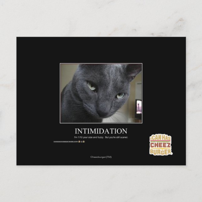 Carte Postale Intimidation (Devant)