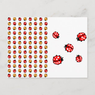 Carte Postale Invasion de coccinelles