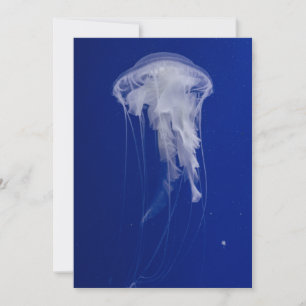 Carte postale Invitation 5" x 7"