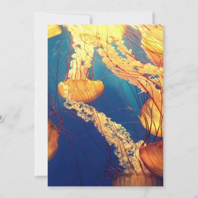 Carte postale Invitation 5" x 7" (Devant)