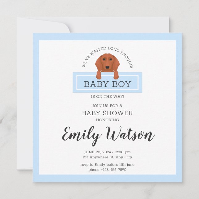 Carte postale Invitation Baby shower Dachshund (Devant)