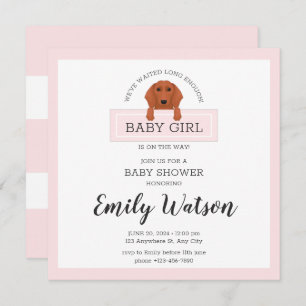 Carte postale Invitation Baby shower Dachshund
