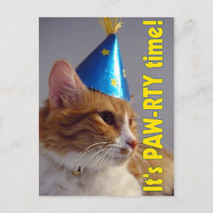 Carte Postale Invitation de fête d'anniversaire PAW-RTY Cat Cart
