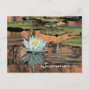 Carte postale Invitation de la fête solstice d'été