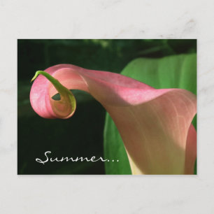 Carte Postale Invitation Floral Summer Solstice Party