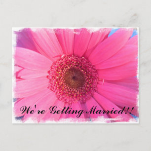 Carte Postale Invitation Gerber Daisy
