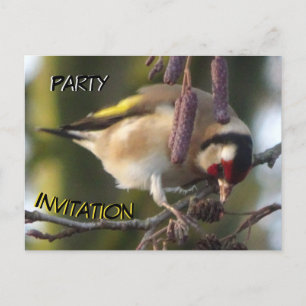 Carte postale Invitation Goldfinch Party