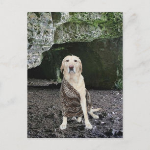 Carte Postale Invitation Man Cave