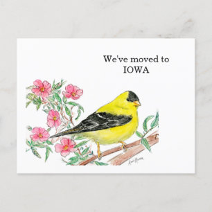 Carte Postale Iowa