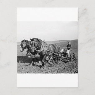 Carte Postale Iowa Corn Planter, années 1940