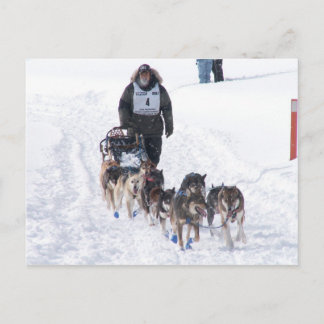 Carte postale IPcture Perfect 2009 UP 200