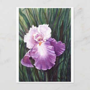 Carte postale Iris