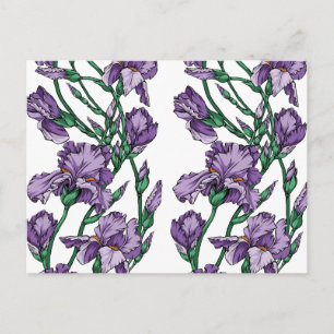 Carte Postale Iris