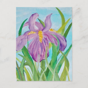 Carte postale Iris