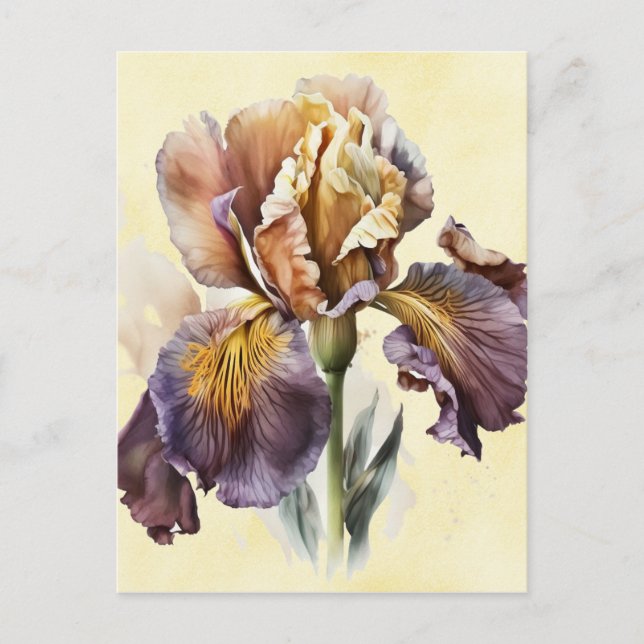 Carte Postale Iris (Devant)