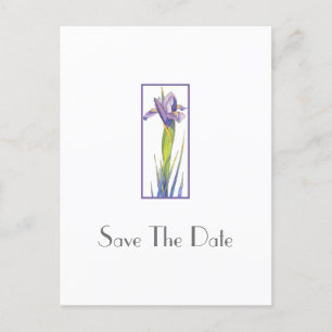 Carte postale Iris 2