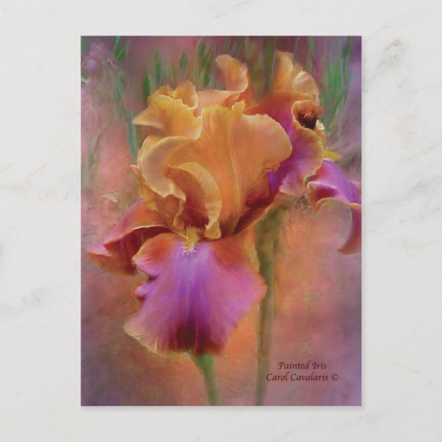 Carte postale Iris Art Peint (Devant)